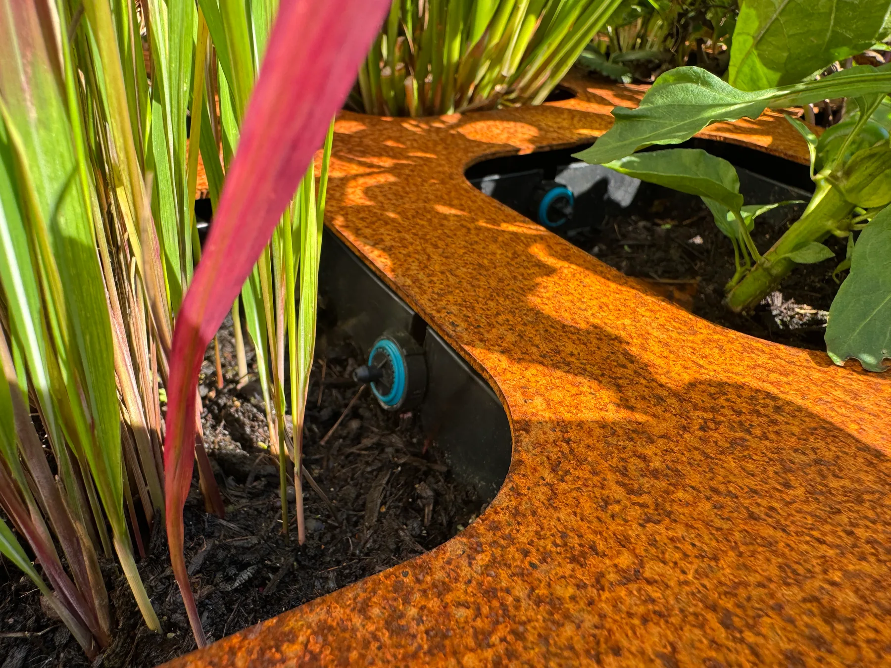 Planting